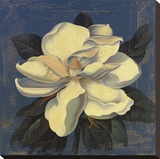 Glowing Magnolia