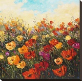 Poppy Dance I
