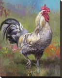Purple Rooster