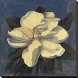 Glowing Magnolia