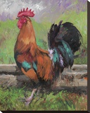 Red And Turquoise Rooster