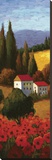 Tuscan Poppies Panel I