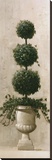 Three Ball Topiary