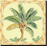 Coconut Palm