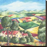 Spring In Provence