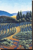 Dawn Vineyards