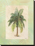 South Pacific Sunshine II