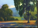 Eucalyptus Sunset
