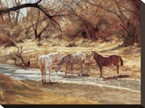 Kirkland Creek