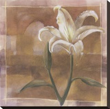 Liliana