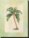 South Pacific Sunshine I