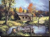 Spring Field