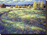 Grasslands