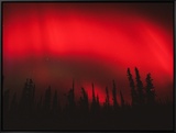 Red Aurora Borealis, Alaska Framed Canvas Print