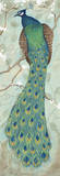 Peacock II