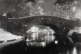 New York Pond in Winter