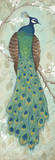 Peacock I