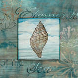 Elements of the Sea I