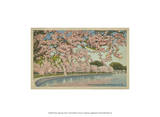 Cherry Blossom Time