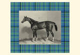 Equestrian Plaid IV Art Print