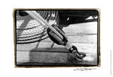 Ship Shape VI