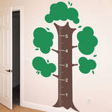 Measurement Tree