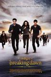 The Twilight Saga: Breaking Dawn - Part 2