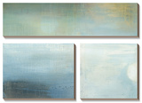 Parceled Reflections Canvas Art Set