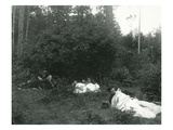 Buy Mt. Hood, Oregon - Camping Without Tents Photograph at AllPosters.com