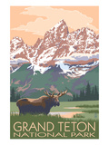 Grand Teton National Park - Moose and Mountains