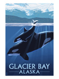 Glacier Bay, Alaska - Orca and Calf