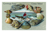 Coney Island, New York - Nautical Scene, Greetings From