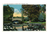 Hartford, Connecticut - Elizabeth Park Lily Pond and Bridge