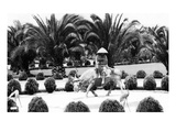Hollywood, California - Bernheimer Residence, Man on Water Buffalo Photo