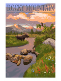 Moose and Meadow - Rocky Mountain National Park