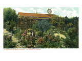 California - View of a Californian Rose Garden