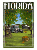 Florida - Orange Grove with Truck
