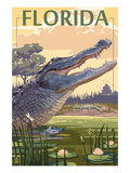 Florida - Alligator Scene