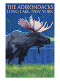 The Adirondacks - Long Lake, New York State - Moose at Night