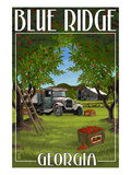 Blue Ridge, Georgia - Apple Harvest
