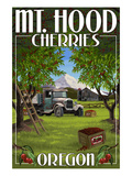 Mt. Hood, Oregon Cherries