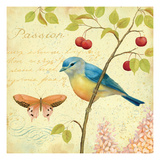 Garden Passion IV