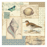 Coastal Collage II