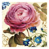 Victoria's Dream II