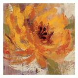 Fiery Dahlias I