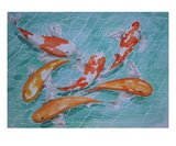 Koi Moi
