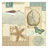 Coastal Collage III