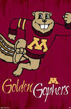 University of Minnesota Golden Gophers NCAA