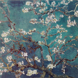 Almond Branches in Bloom, San Remy, c.1890 Poster