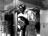 The Fly, David Hedison, 1958